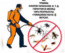Дез-центр Москва дезинфекция уничтожения насекомых работаем 24/7 с выездом области! 
