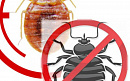 Травим насекомых клопов и тараканов гарантия 100% - фотография №2